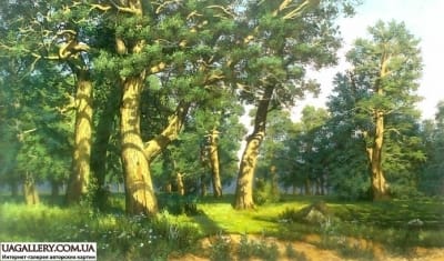 Копия картини Шишкина «Дубова роща»