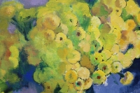 Картина з жовтими квітами хризантемами CHRYSANTHEMUMS купити живопис 