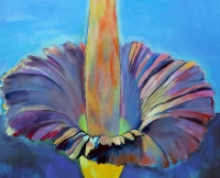 Картина AMORPHOPHALLUS TITANUM 2 картина для сучасного інтер'єру купити Киів