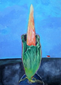 Картина AMORPHOPHALLUS TITANUM 1 картина для сучасного інтер'єру купити Киів