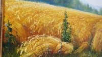 Картина олією пейзаж «Золоте пшеничне поле» купити живопис Україна