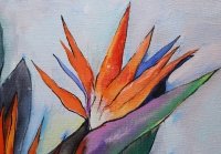 Абстрактна картина STRELITZIA BIRD OF PARADISE купити картину для сучасного інтер'єру