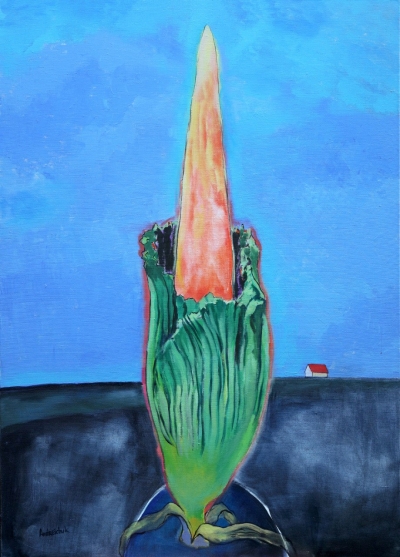 Картина AMORPHOPHALLUS TITANUM 1 картина для сучасного інтер'єру купити Киів